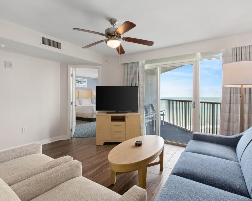 Image Description to Come