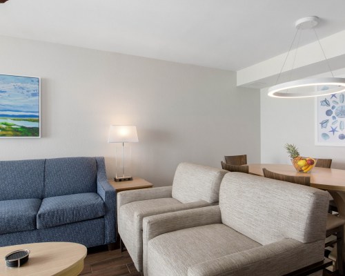 Image Description to Come