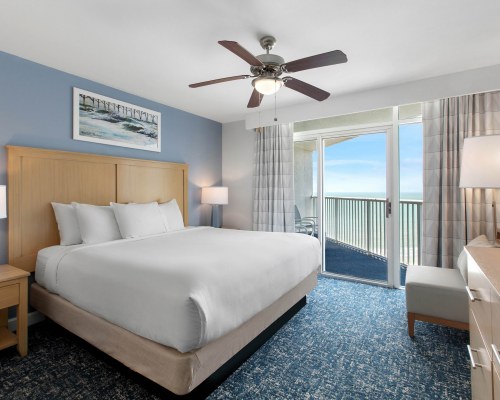 Image Description to Come