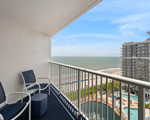 Image Description to Come