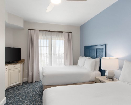 Image Description to Come