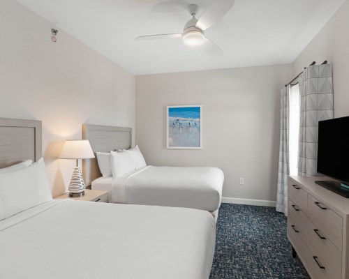 Image Description to Come