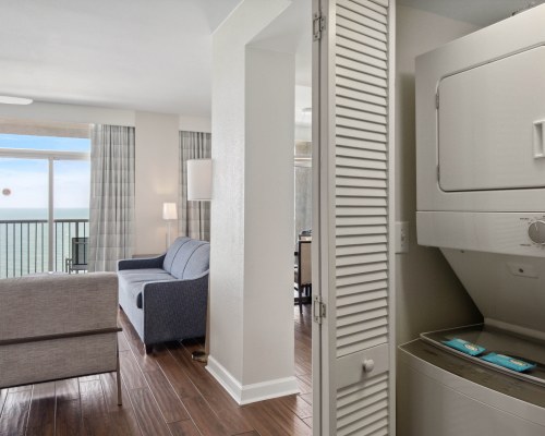 Image Description to Come