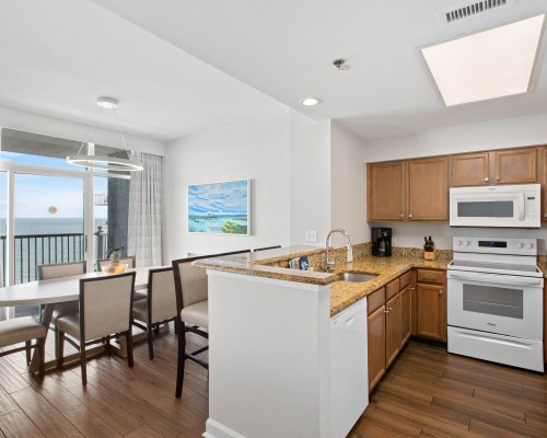 Image Description to Come