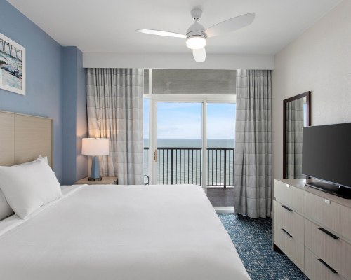 Image Description to Come