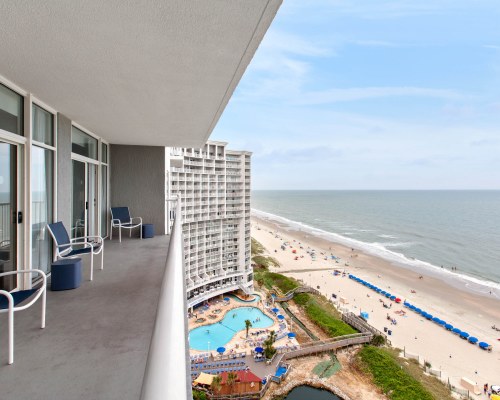 Image Description to Come