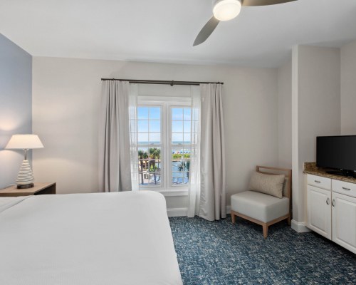 Image Description to Come