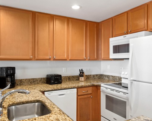 Image Description to Come