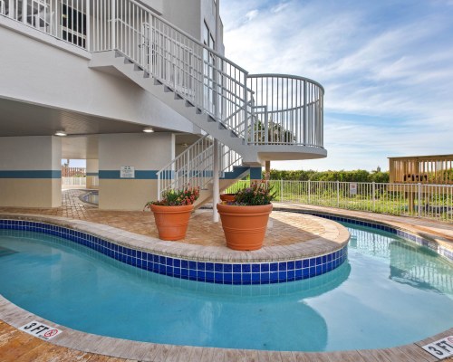 Image Description to Come