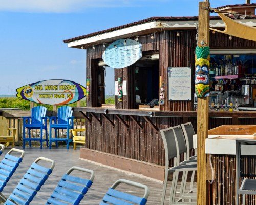 Image Description to Come