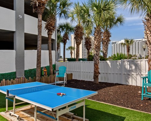 Image Description to Come