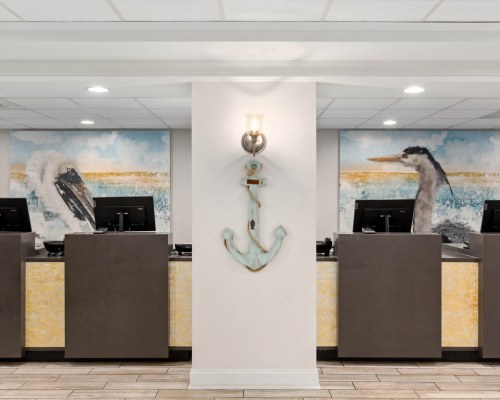 Image Description to Come