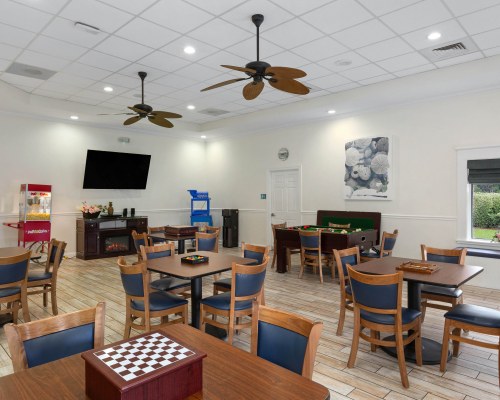 Image Description to Come