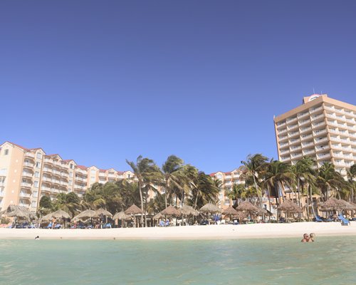 Exterior view of Divi Aruba Phoenix Beach Resort with palm trees alongside the beach.