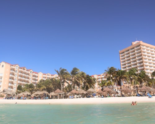 Divi Aruba Phoenix Beach Resort Image