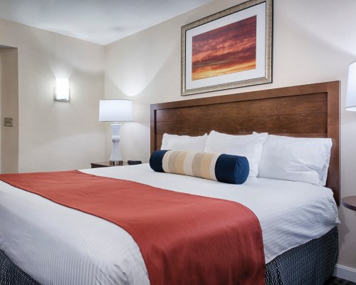 A WELL FURNISHED BEDROOM.