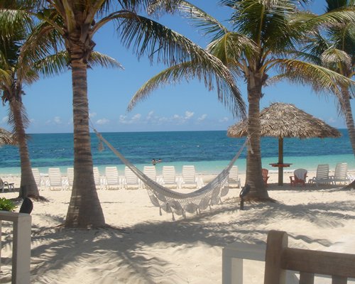 A view of the beach hammock with chaise lounge chairs and thatched sunshades alongside the beach.