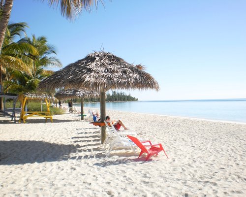 A view of thatched sunshades and chaise lounge chairs alongside the ocean.
