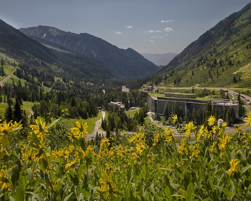 The Cliff Club at Snowbird Image