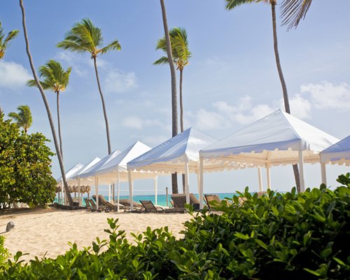 Scenic view of chaise lounge chairs and sunshades alongside the beach.