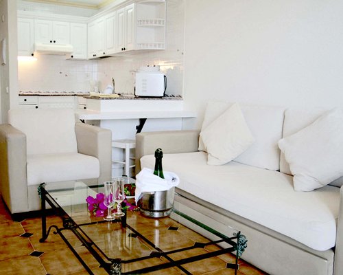 A well furnished living room with a double pull out sofa alongside kitchen.