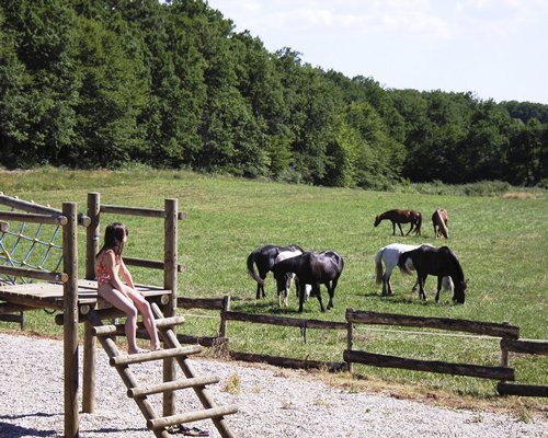 Domaine De Gavaudun