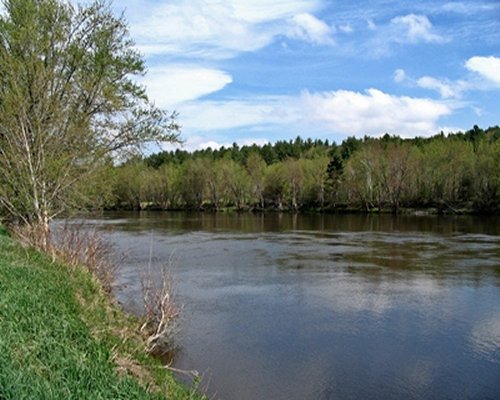 View of the river surrounded by trees.