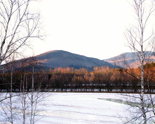 View of the lake surrounded by wooded area alongside the mountain.