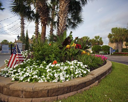An American flag in flowering shrubs.