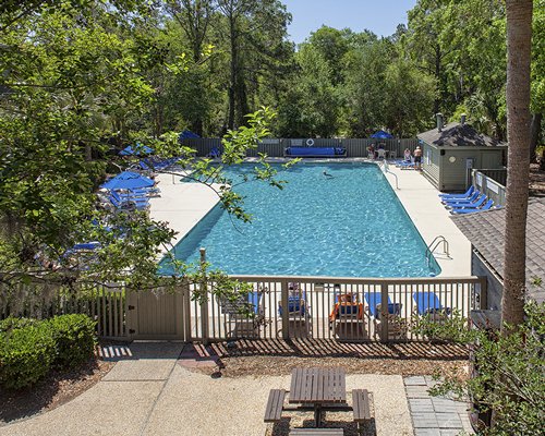An outdoor swimming pool with chaise lounge chairs and sunshades surrounded by wooded area.