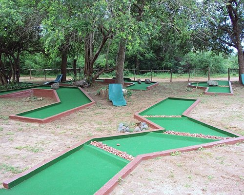 A well maintained putt putt course surrounded by trees.