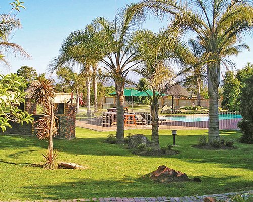 View of trees alongside the swimming pool.