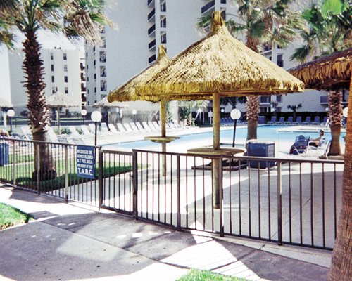 Outdoor swimming pool with chaise lounge chairs thatched sunshades and palm trees.