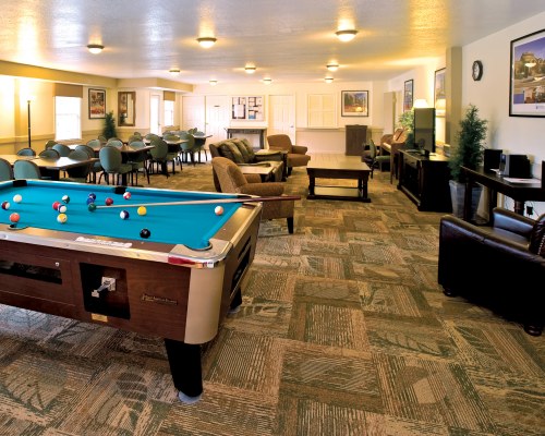 AN INDOOR RECREATIONAL ROOM WITH POOL TABLE AND TELEVISION.