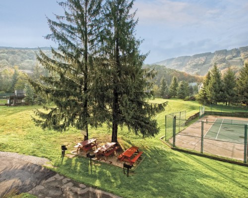 AN OUTDOOR PICNIC AREA SHELTERING IN THE SHADE OF TREES ALONGSIDE A TENNIS COURT.