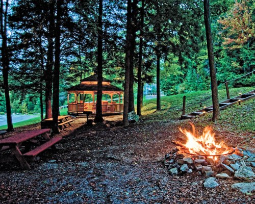 A VIEW OF THE CAMPFIRE SURROUNDED BY WOODED AREA.