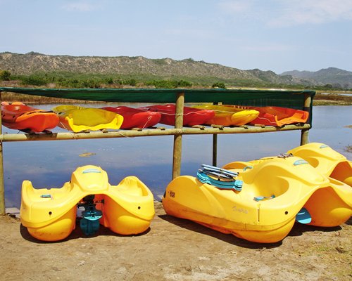 A view of Paddleboats alongside the waterfront.
