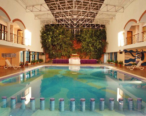 A large indoor swimming pool with chaise lounge chairs and potted plants.