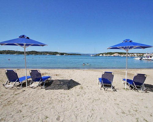 View of the beach with chaise lounge chairs and sunshades alongside buildings and wooded area.