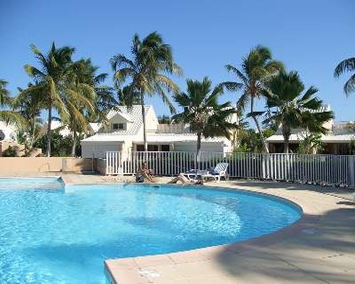 Large outdoor swimming pool with chaise lounge chairs and palm trees.