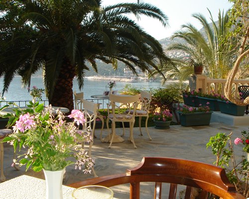 An outdoor dining area with trees and potted plants alongside the beach.