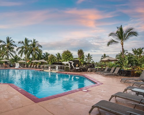 An outdoor swimming pool with chaise lounge chairs and sunshades surrounded by trees.