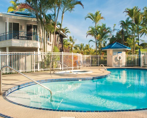 Outdoor swimming pool alongside a unit with palm trees.