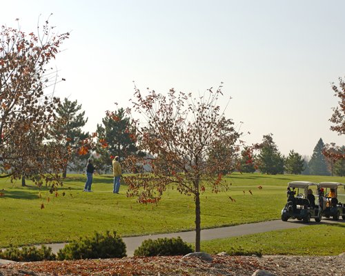 Two people playing in a well maintained golf course surrounded by trees.