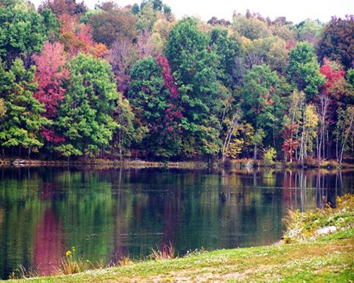 Wolf Run Manor at Treasure Lake