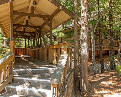 A stairway leading to the resort unit with the trees.