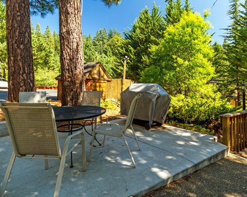 An outdoor patio surrounded by trees.