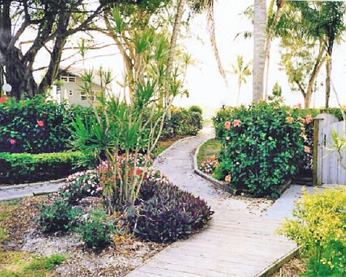 A scenic pathway.