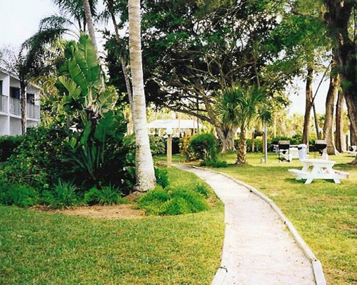 A pathway leading to the resort alongside the picnic area.