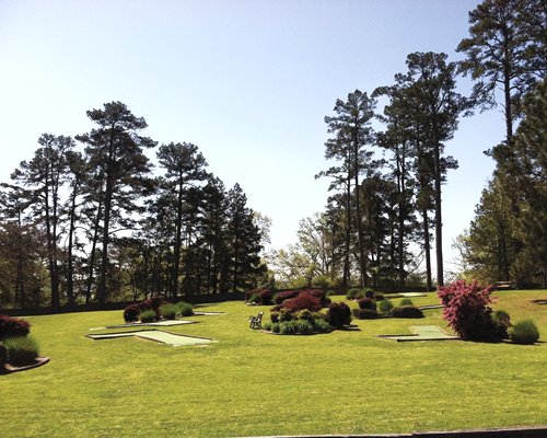 An exterior view of the meadow surrounded by trees.